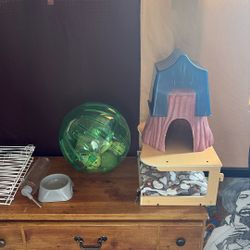 Guiney Pig Toys And Cage