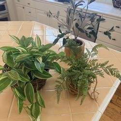 Faux Plant Decor-  Home Decor 
