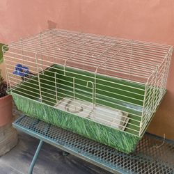 Pet Home