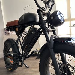Electric Bike Dual Battery