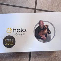 Halo Collar For Dogs