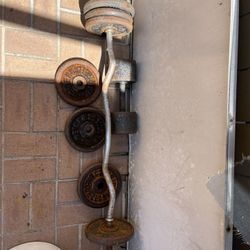 WEIGHTS, BENCH, MOUNTED PULL UP BAR FOR SALE!!! 