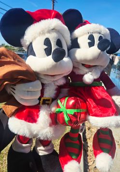 17"×9" Disneyworld Michey Mouse & Minnie Mouse  Collectible