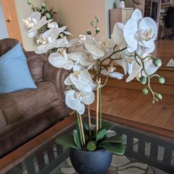 Beautiful Fake Orchid Plant