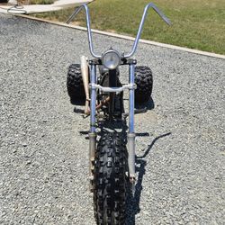 Custom Three Wheeler 