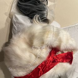 Costume