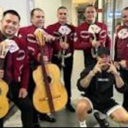 Guitarron Mariachi