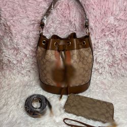 C/ oach  Bag & Wallet 