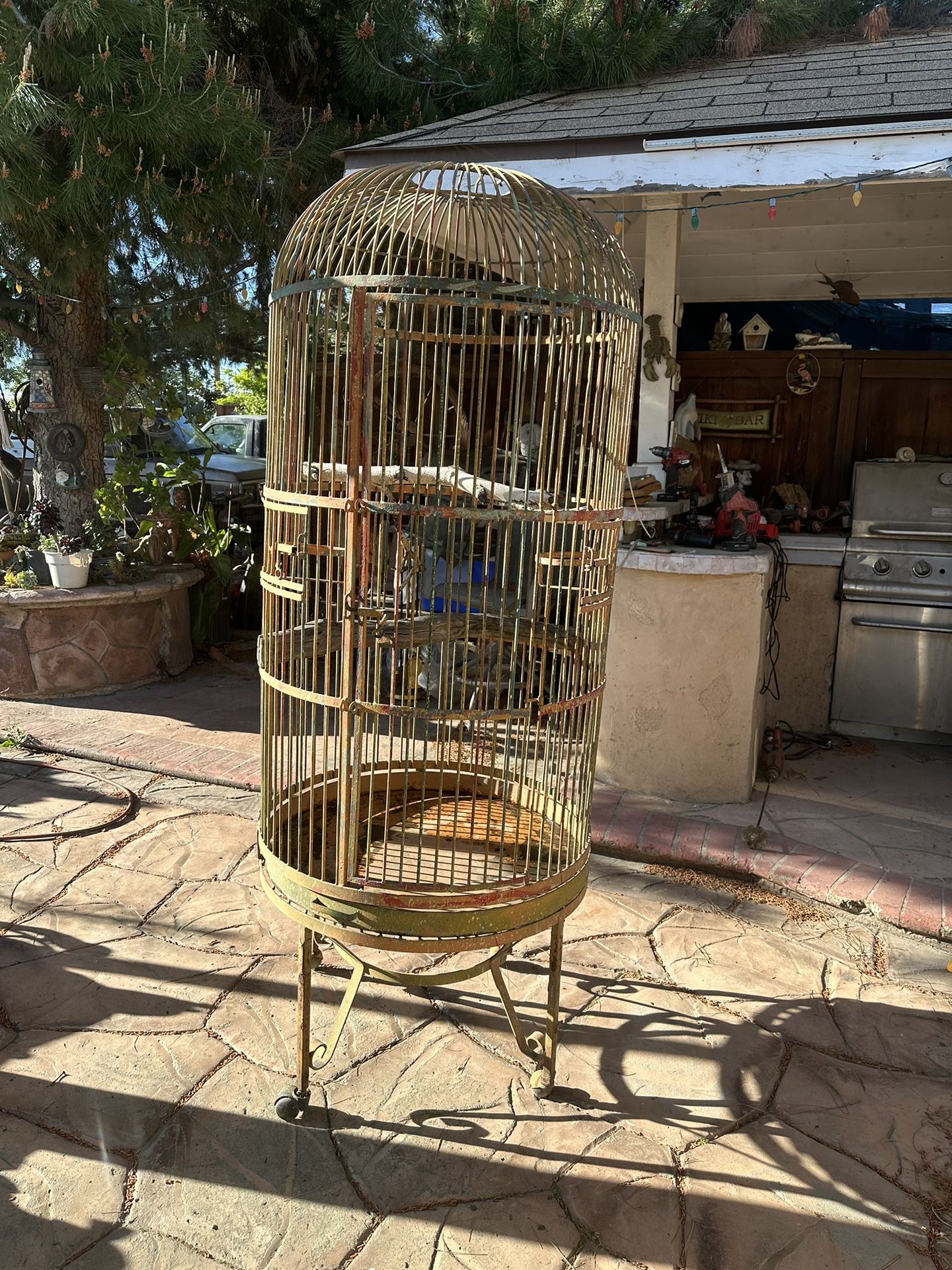 Bird Cage (BIG)