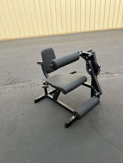 Gym Leg extension and leg curl