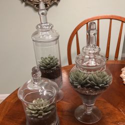 Set of 3 Glass Terrarium Decor With Fake Succulents