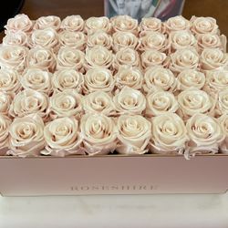 Mother’s Day Forever Roses rosehire 4 Dozen 