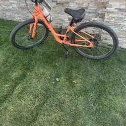 Specialized cruiser bicycle