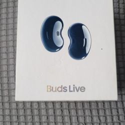 Samsung Ear Buds