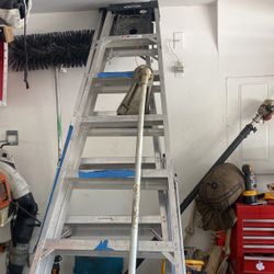 10 Ft Ladder 