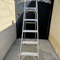 6 ft Ladder