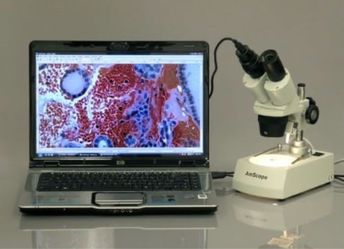 Amscope microscope