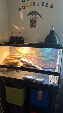 40gallon Terrarium
