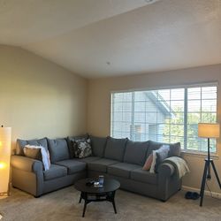Grey Sectional Couch for Sale