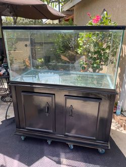 Aquarium