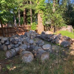 Free Logs for fire wood In Bellingham