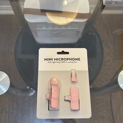 mini mic