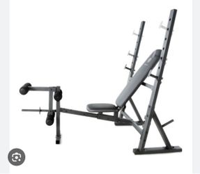 Golds Gym Olympic Weight Bench Set Bar