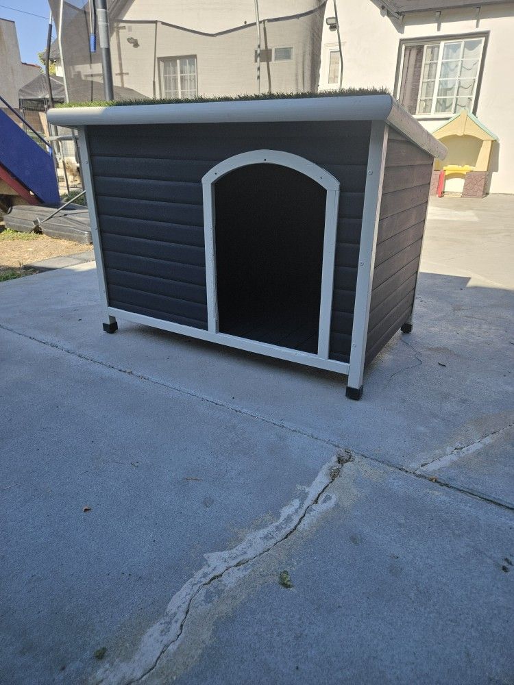 Dog House