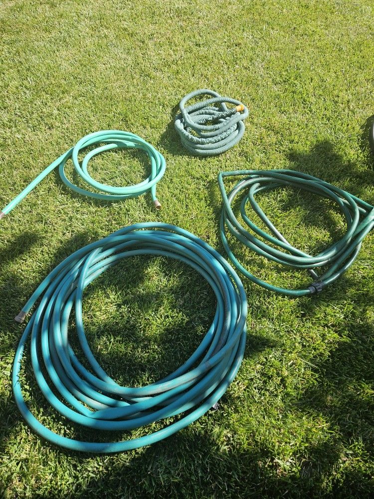 Garden Hoses