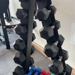 Dumbbells and Rack