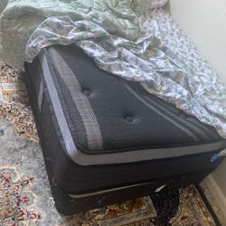 twin size mattress with spring box 