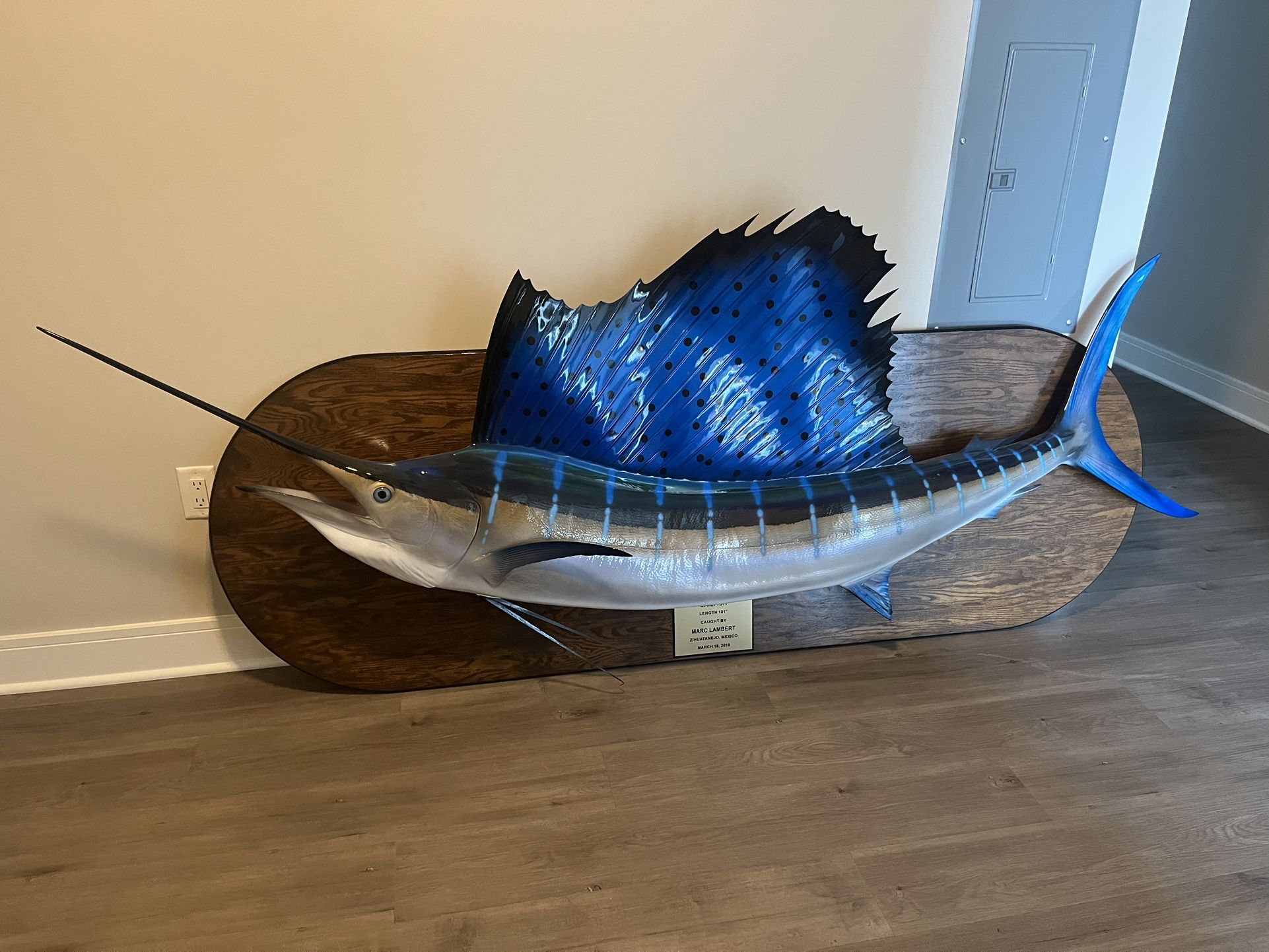 Pacific Sailfish Mount