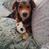 Gracie