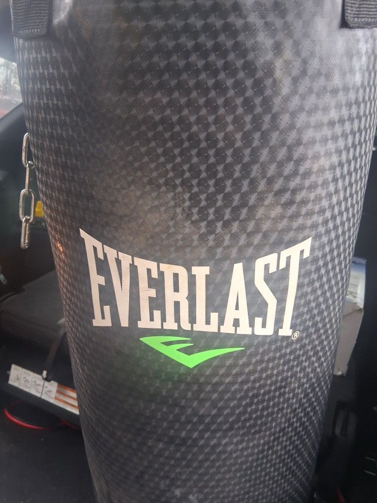 Everlast Boxing Punching BAG 100 Pounds  Bag