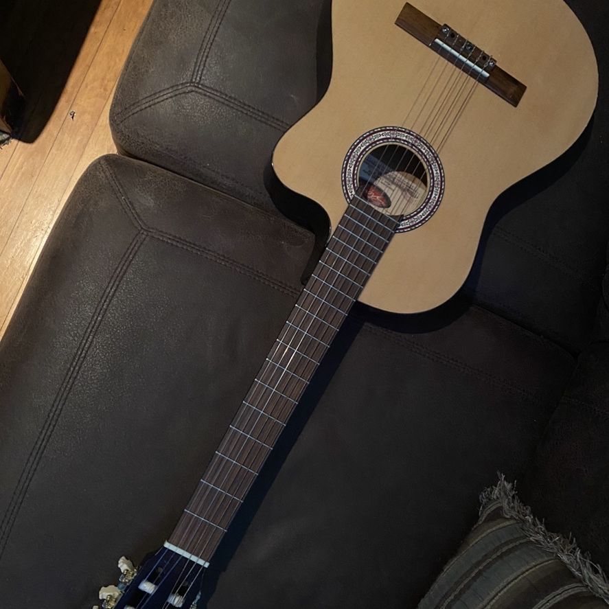 Electric Acoustic Guitar