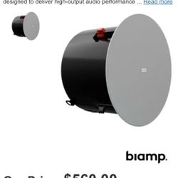 Ceiling Speaker with Full, Clear Sound: Biamp DX-IC10" 2-Way 10" High Output 2-way ceiling-mount loudspeaker 