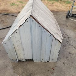 Dog House