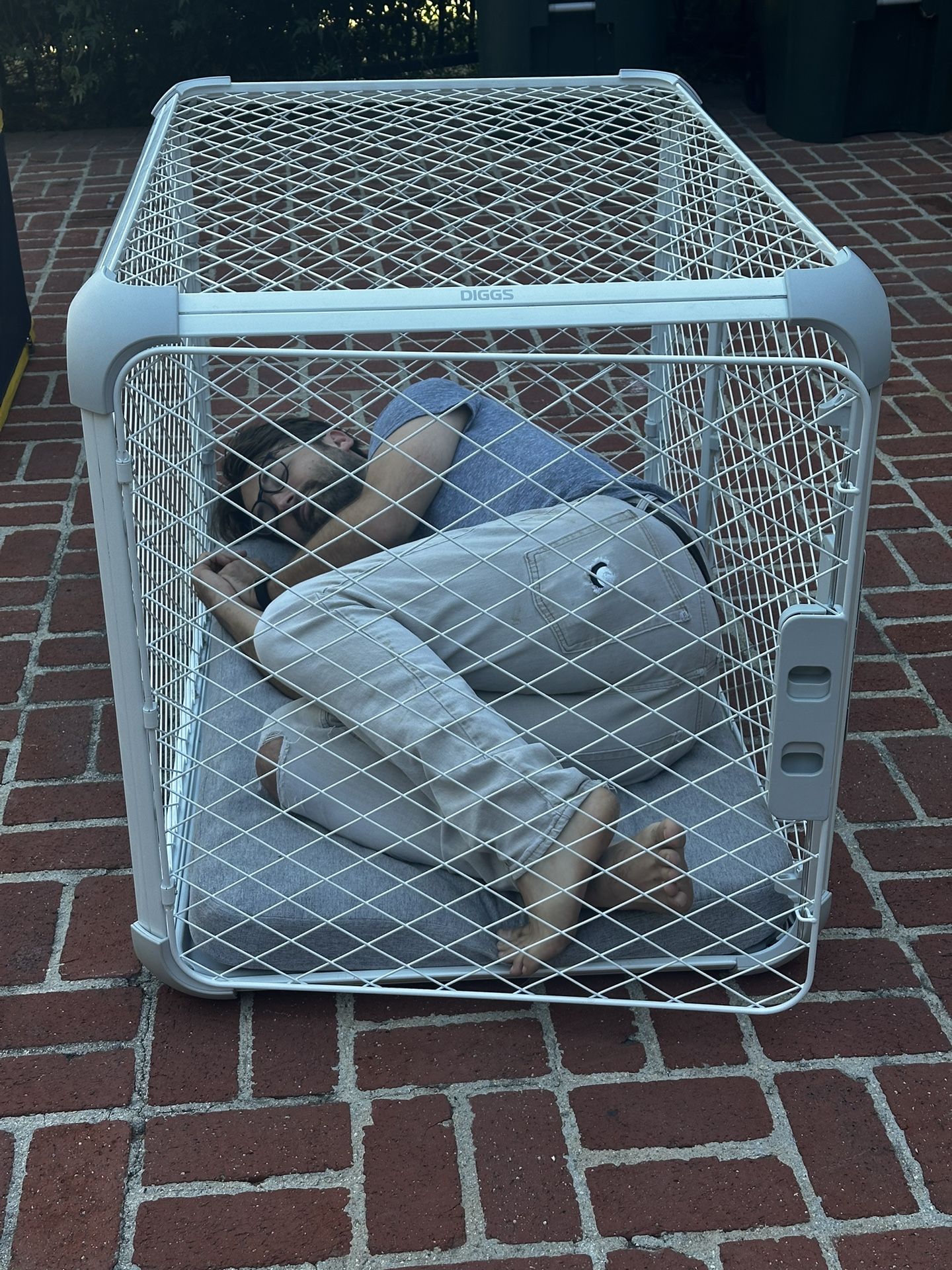 DOG CRATE - Size LARGE - DIGGS