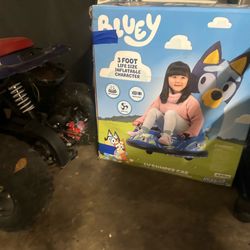 Bluey ride