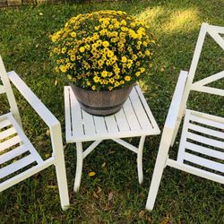 🌺🌸FURNITURE YARD 🌸🌺