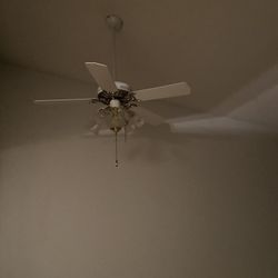 Ceiling  Fans 