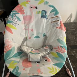 Bright Starts Baby Bouncer