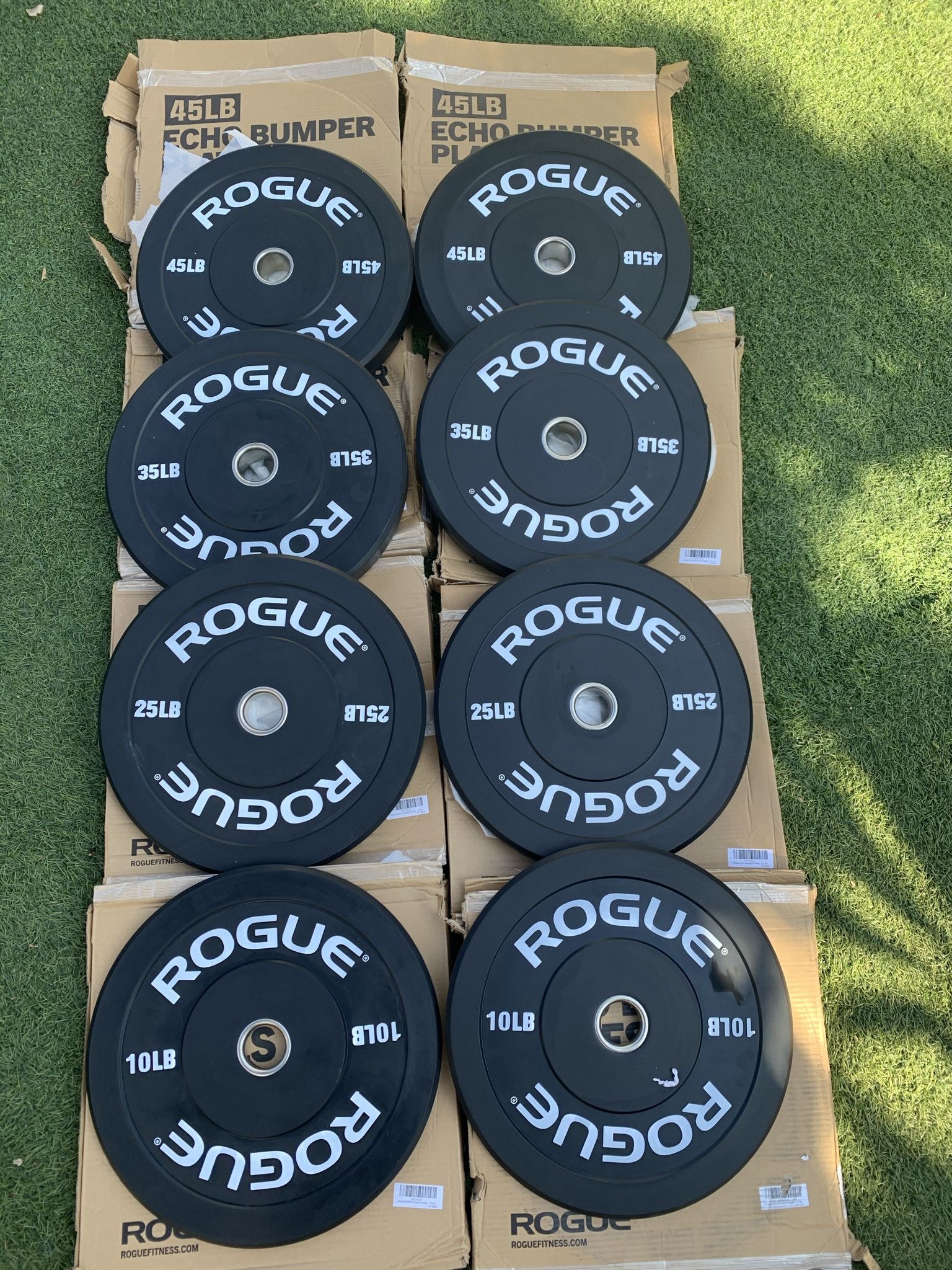 Rogue Echo Bumper Plates