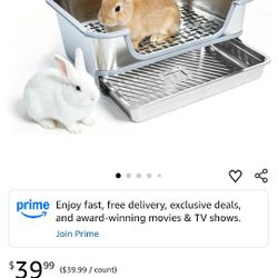 Litter Box 