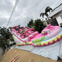 flamingo slide 