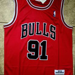Chicago Bulls Jersey Dennis Rodman 