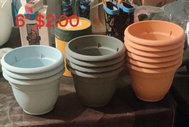 New Planters
