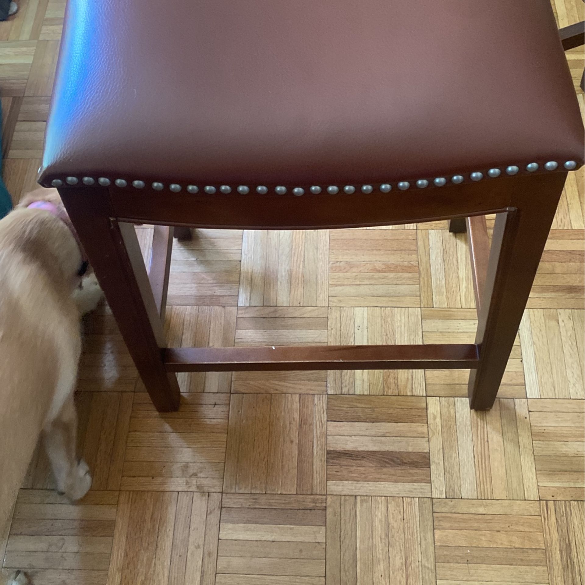 Bar Stool Charis