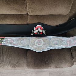 WWE OHIO STATE CUSTOM MADE TITLE BELT