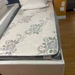 New Deluxe Brand All Sizes